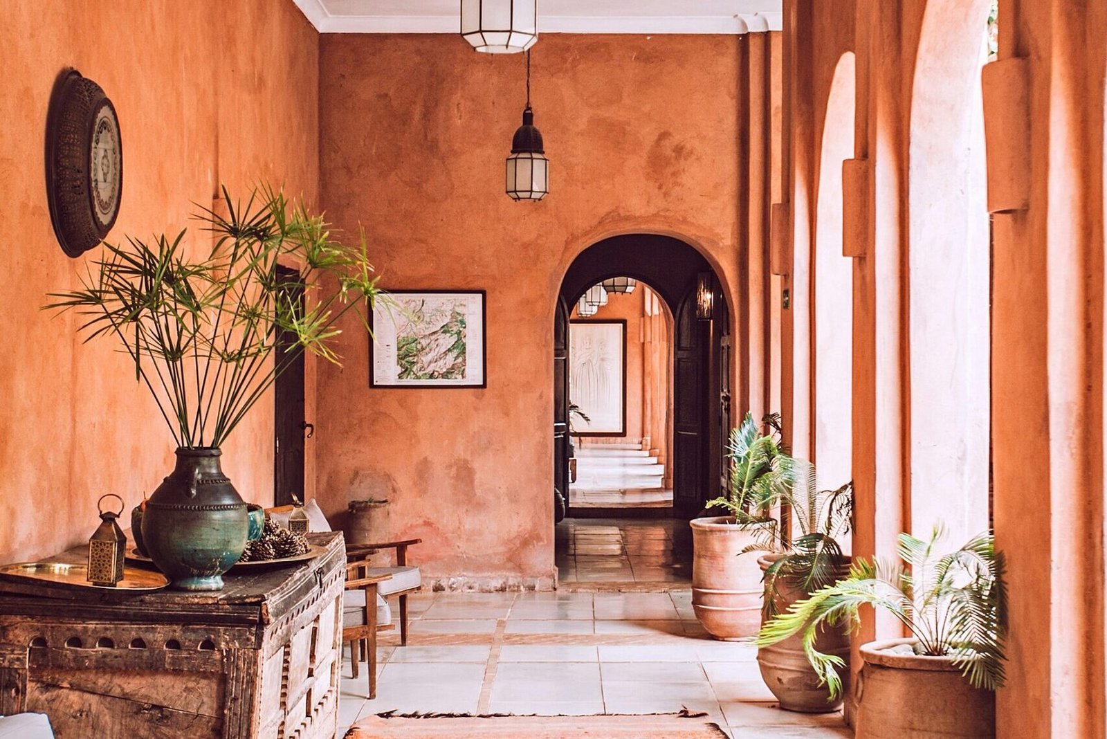 planters with plant near area rug inside room